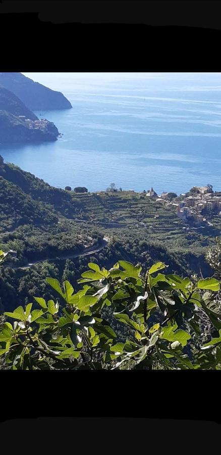 Ferienwohnung Residenza Solferino Corniglia Exterior foto